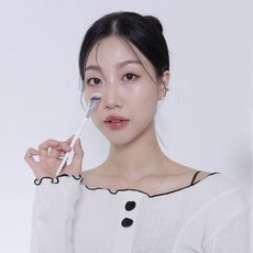 필리밀리코렉터브러쉬811