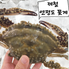 꽃게탕택배