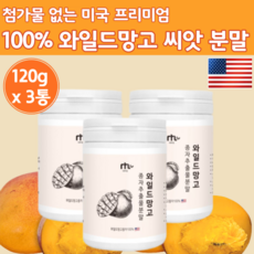 프리미엄 미국산 와일드망고 종자 씨앗 100 % 추출물 분말 120g 3통 대용량 식약청수입신고 확인증 추출 외일드 망고 야생 가루 씨드 아프 리카 리칸 씨 앗 백프로 먹는 방 법, 3개