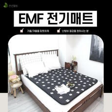 한일웰빙구들장전기매트