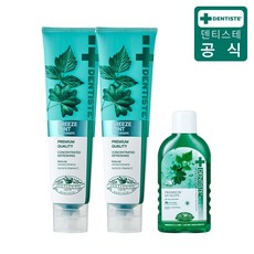 덴티스테 뉴브리즈민트 치약 180g×2개 + 내츄럴 오랄린스 가글 100ml x1개, 없음