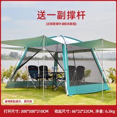 홀리데이스타300