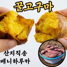 해나미고구마