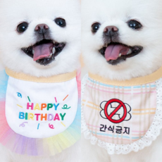 강아지 간식금지 강아지 생일케이프 S, 1개 - 강아지생일파티