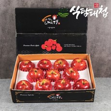 식탐대첩 명절 선물세트 경북 명품사과 3kg (중과 10-11과)