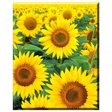 십자수anchorwhite