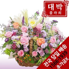 대박플라워 행복하기를 꽃바구니 생일선물 기념일 출산꽃선물 병문안 꽃배달