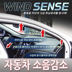 셀토스풍절음