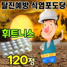 등에땀많은
