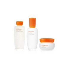 설화수 탄력 에센셜 3종 기획세트, 1세트