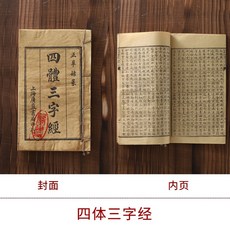 고서