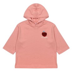 시몬스소이화이버