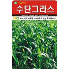 수단그라스