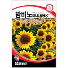 5ce14456ae2cc633d15fb688704971eadb76ce65ebab98b6175f4cfbd3f7.jpg