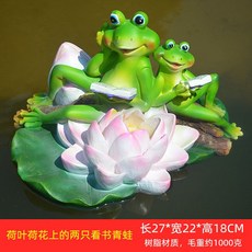 개구리연못2