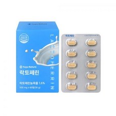 토끼정할인