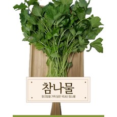 참나물2kg