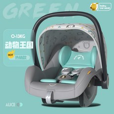 바구니카시트리안솔로