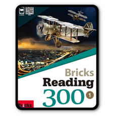 브릭스리딩300