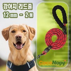 코코노피 강아지리드줄 목줄 강아지산책줄 소형견 중형견 대형견 애견 반려견 로프 리드줄 [ 12mm - 2 M }, 레드, 1개 레드