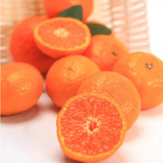 제주특산물 카라향 벌크 5kg [로얄과], 제주특산물 카라향 벌크 5kg 1개 [로얄과]