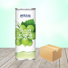 캔바