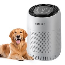  가정용 대형 공간용 공기 청정기 최대 1076ft² 먼지 냄새 비듬 꽃가루 산불 연기 애완동물 털 자동 모드 수면 모드 타이머 온도/습도 디스플레이용 H13 