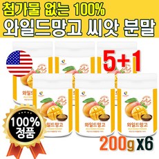 와일드망고 씨앗 분말 100% 200g x6통 대용량 맛있는 먹는 씨앗 종자 가루 파우더 와망스파클링 탄산수 망고 스무디 쉐이크 와일드망고씨 주스 쥬스 물에 타먹는 망고수 추출물, 6개