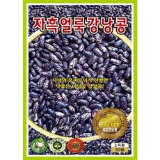 자흑얼룩 강낭콩 콩씨앗 50립, 1개