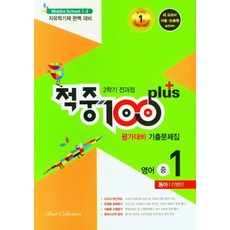 적중100이병민1