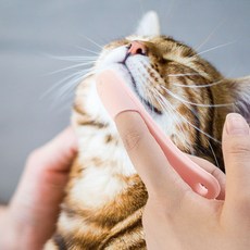 PET 고양이 턱드름 브러쉬 꼬드름 블랙헤드 관리 씨드 피지, 본상품선택, 01턱드름브러쉬-핑크