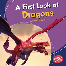 A First Look at Dragons Library Binding, Lerner Publications (Tm)