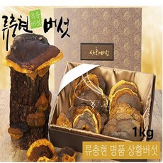 류충현약용버섯 국산 상황버섯 뽕나무 목질진흙버섯 원물 무농약 친환경인증 선물 500g, 1세트, 1kg