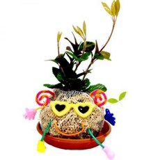 db3d8a72416bdff06038b6c70019d8c6785fa728fa0ac9454a5025b1c188.jpg