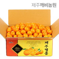 //상품명