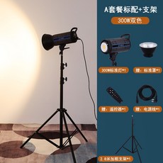 난라이트forza300