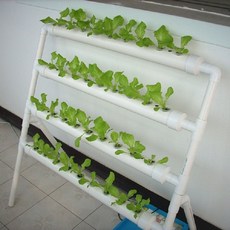 집에서상추키우기 가정용 식물 채소 수경 재배기, 단면 사다리