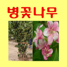 da1a6b54012e838fa306e5292940fa3ae0c2c80f4f35f7e7a8568058d8d3.png