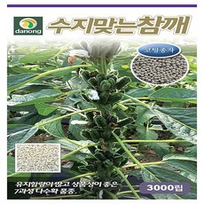 5bb44b5238e0fe7743c211807f0ee96fac9da6bdf6e0a76bf16d168f5e39.jpg