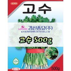 고수 씨앗 500g 당일발송 대용량 파종용 종자 경신종묘, 1개