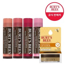 버츠비립스크럽