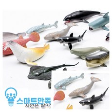 어류탐험