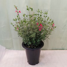 b1de338c201baec36d19b84422649ae590562c355aace1528516dd2a84d4.jpg