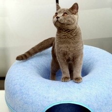 도넛 nC312D84A42 블루 고양이터널 고양이하우스 L 숨숨집 펠트, 단일색상_단일사이즈