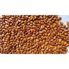 고소미잣 껍질잣 피잣 까먹는잣(신선배송), 1개, 500g