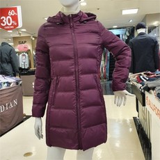 데이브경량구스