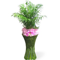 테이블야자 TOP01