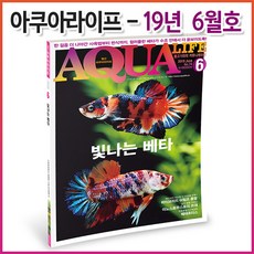 아쿠아라이프 2019년 06월호