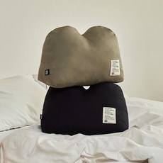 바른생각 40도 쿠션