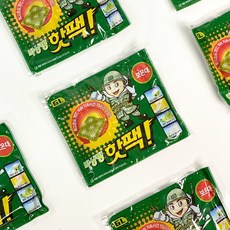 지엘 박상병핫팩(20개입) 방한용품 군용핫팩 인기폭발, 20개입